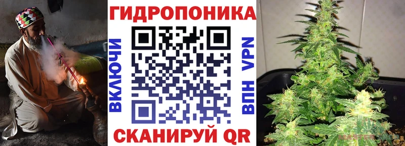 Магазины продажи наркотиков Мезень hydra ТОР  Мефедрон  Галлюциногенные грибы  Alpha-PVP  Конопля  ГАШИШ  COCAIN 