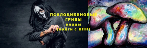 индика Белоозёрский