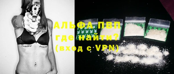 прущие грибы Беломорск