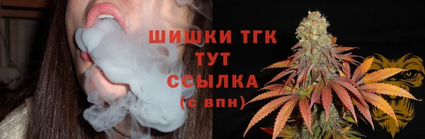 прущие грибы Беломорск