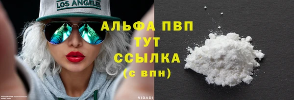 индика Белоозёрский