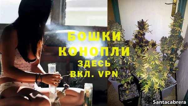 прущие грибы Беломорск