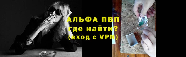 прущие грибы Беломорск