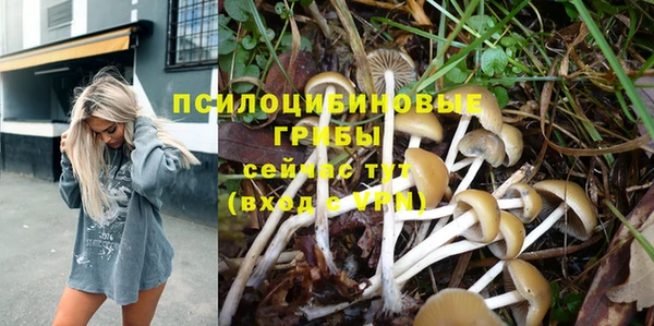 прущие грибы Беломорск