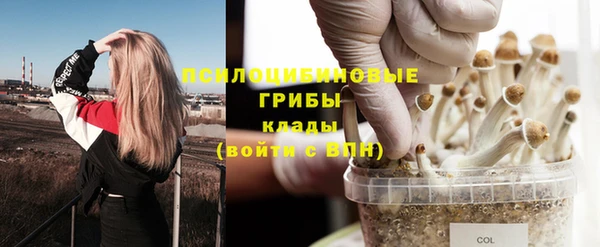 амфетамин Белокуриха